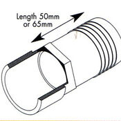 Plain Hosetail